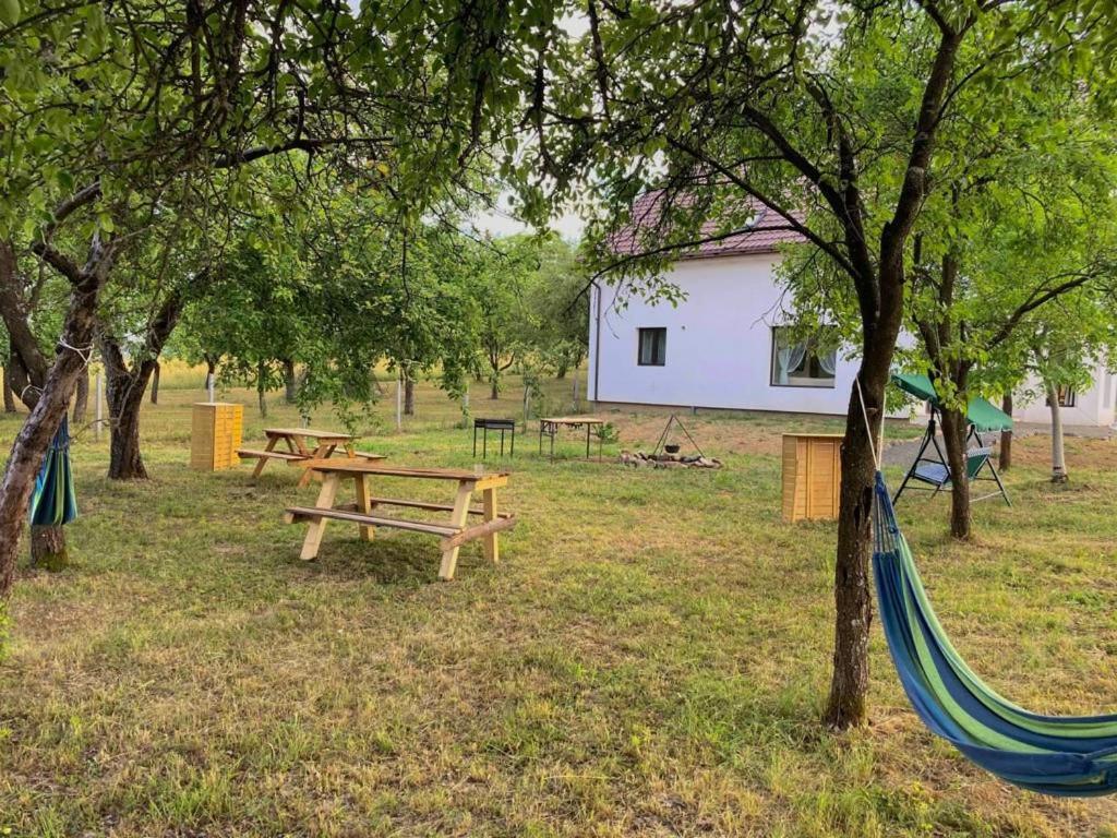 Pensiunea Rnb Maramures Surdesti  المظهر الخارجي الصورة